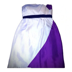 Gianni Bini Suba Strapless Color block 100%Silk dress sz 4 ivory/Magenta…